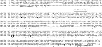 The Physiopathological Role of the Exchangers Belonging to the SLC37 Family